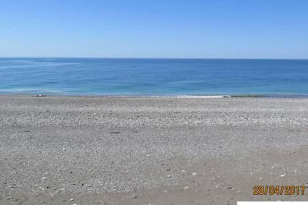 Flat near the sea Daire Pitsunda Dış mekan fotoğraf